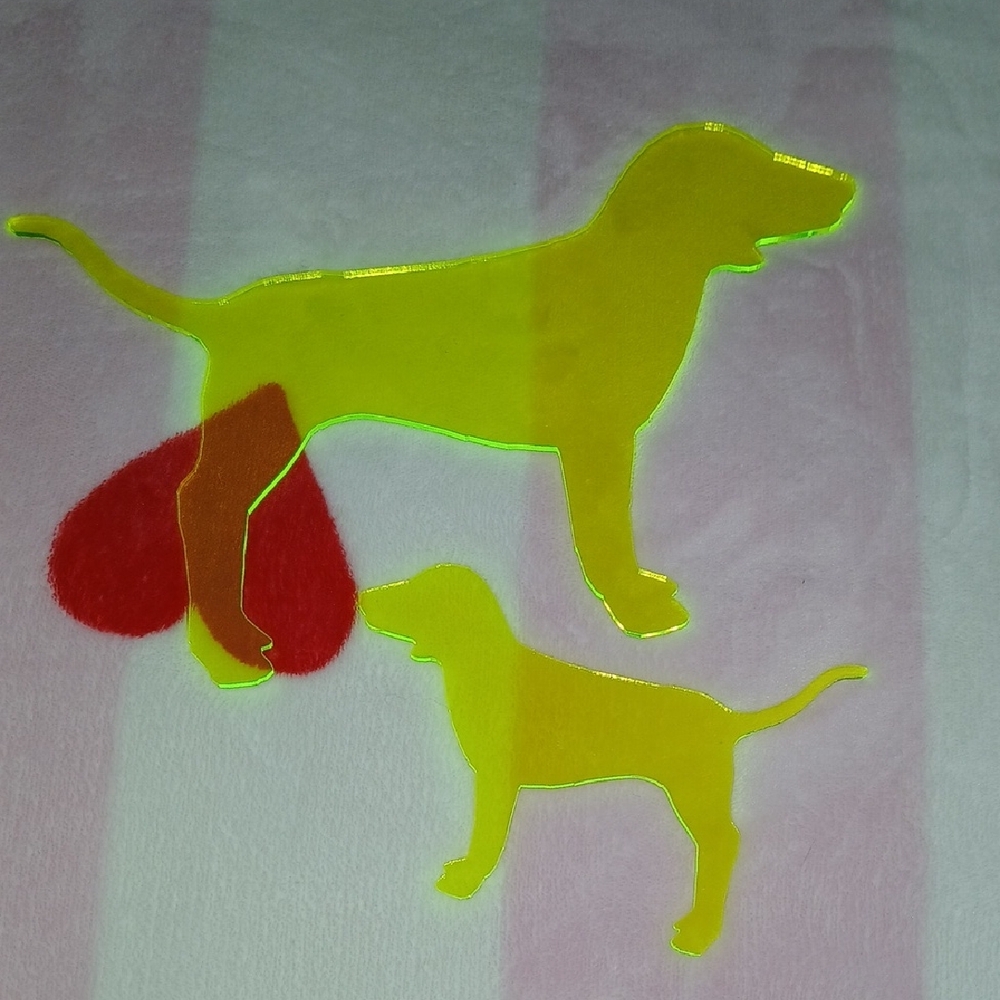 VS PINK Neon Yellow Mini Plexi Dog Set!